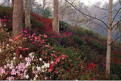 《战神：诸神黄昏》PC版新截图 画面太震撼了